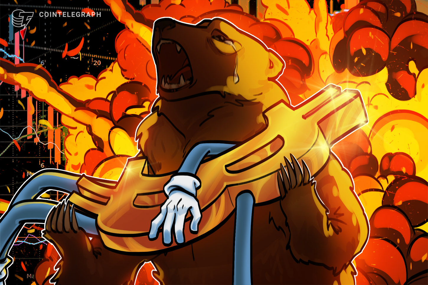 bear-bang-reg-falling-bitcoin